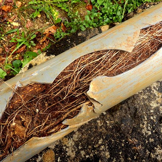 Same Day Drain Sewer & Rooter Pros Across Bedford